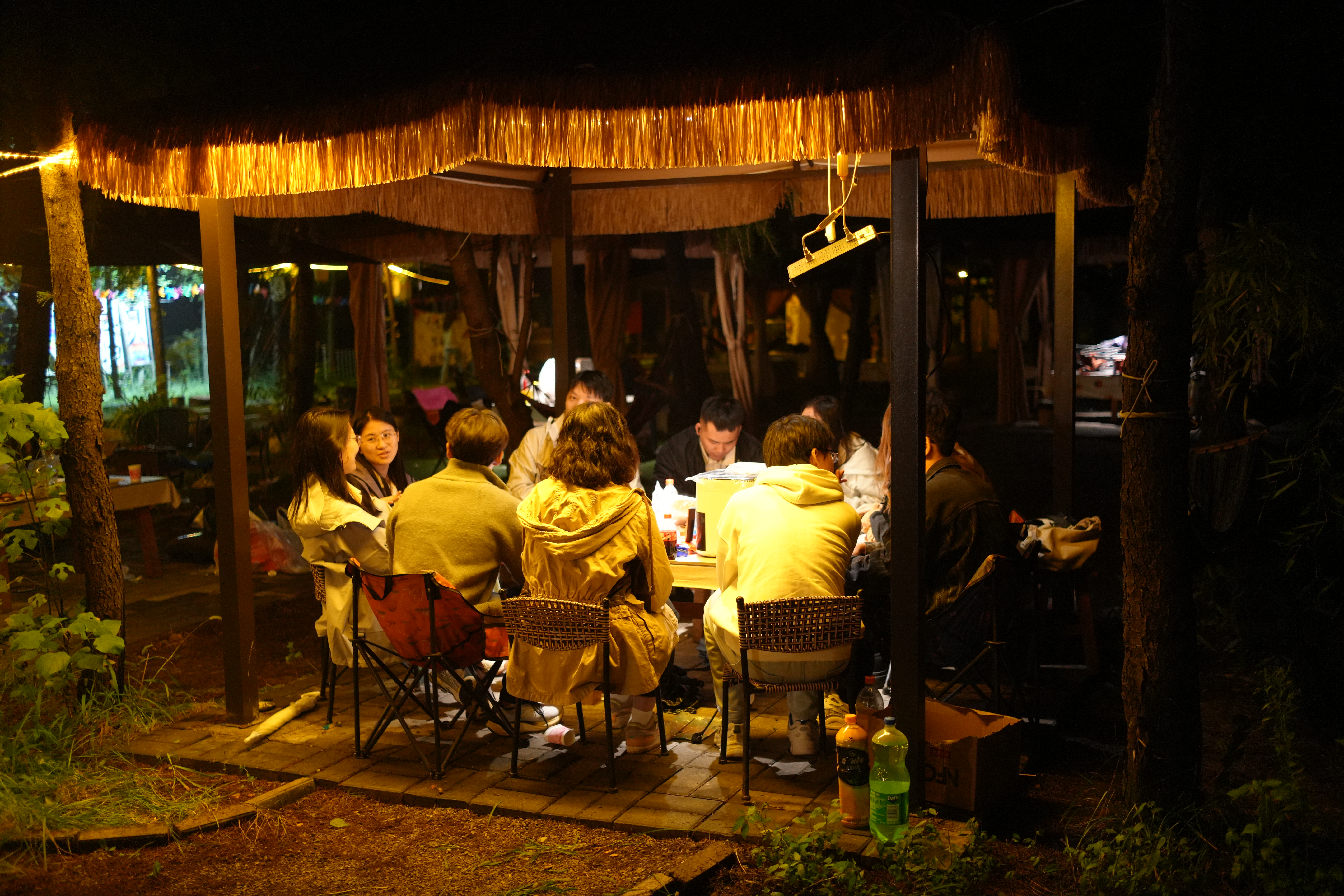 DSC00599.jpg