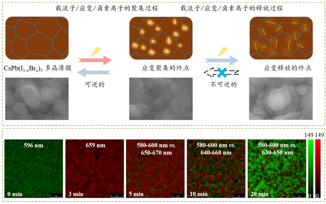 混合卤化物钙钛矿薄膜制备与相分离现象研究.png
