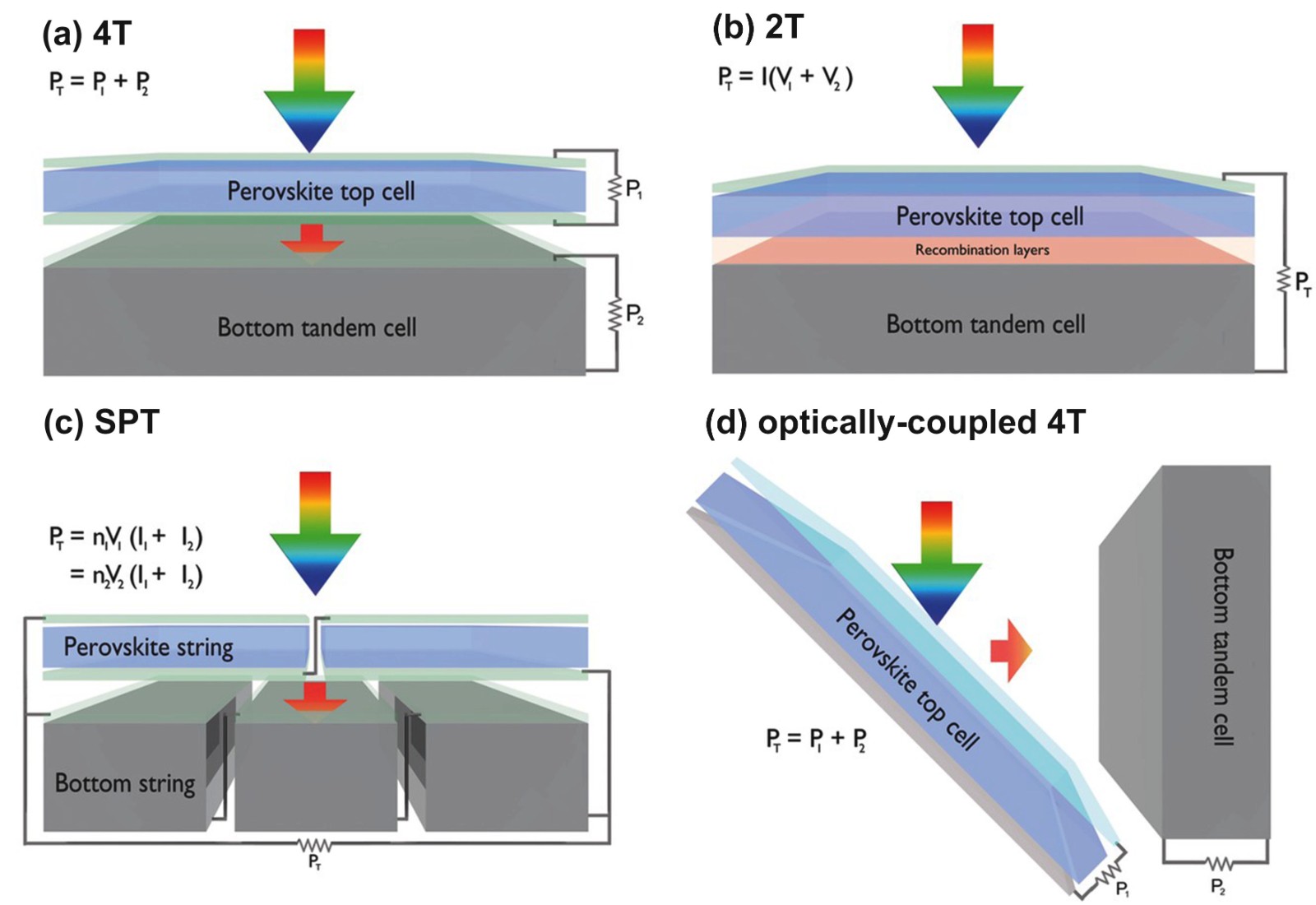Figure 2.jpg Figure 2.jpg