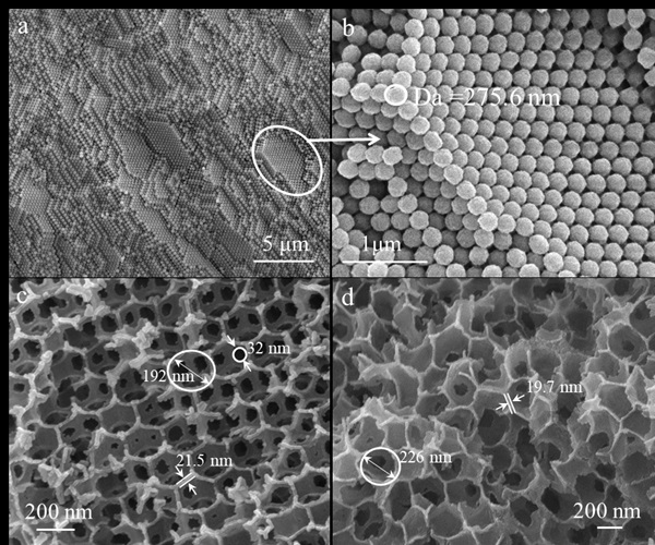 Fig 1 SEM pattern.jpg