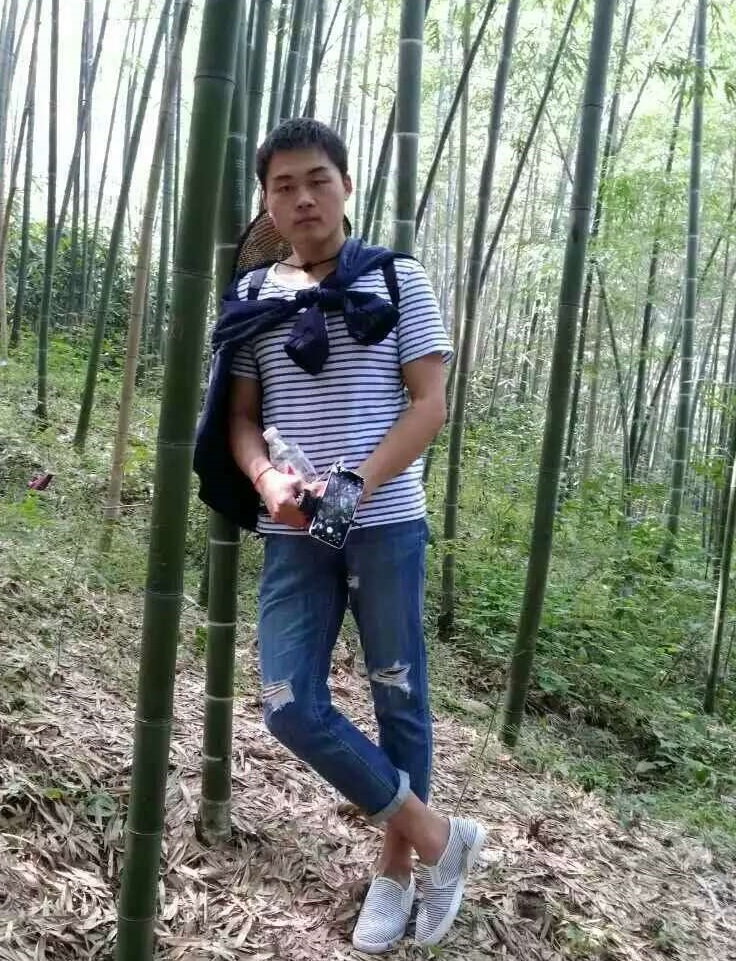 王力