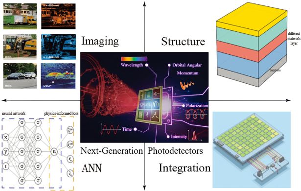 Advanced Optical Materials - 2025 - Niu - Multi‐Parameter Infrared Photodetection Based on Topological Semimetals.jpg