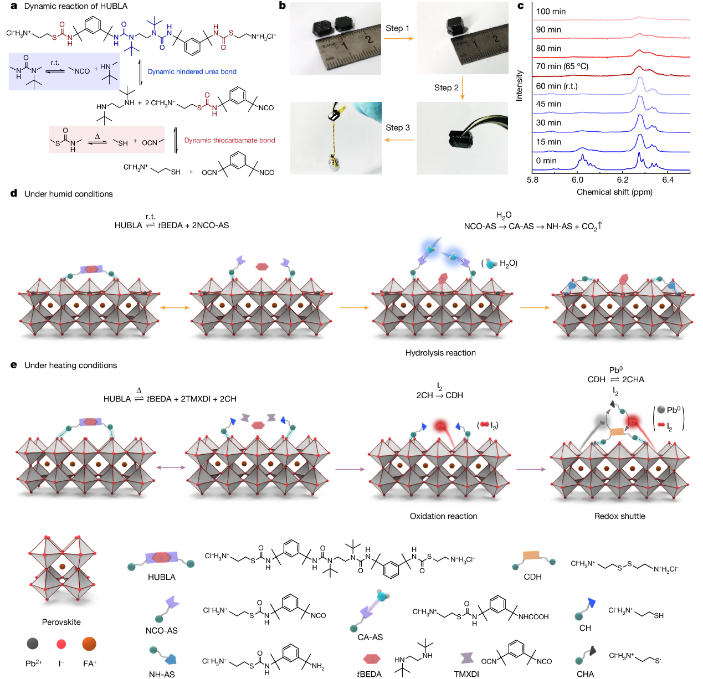 图片 13.png 图片 13.png