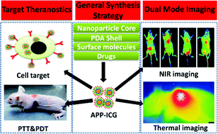 Graphical abstract: Hybrid of gold nanostar and indocyanine green for targeted imaging-guided diagnosis and phototherapy using low-density laser irradiation