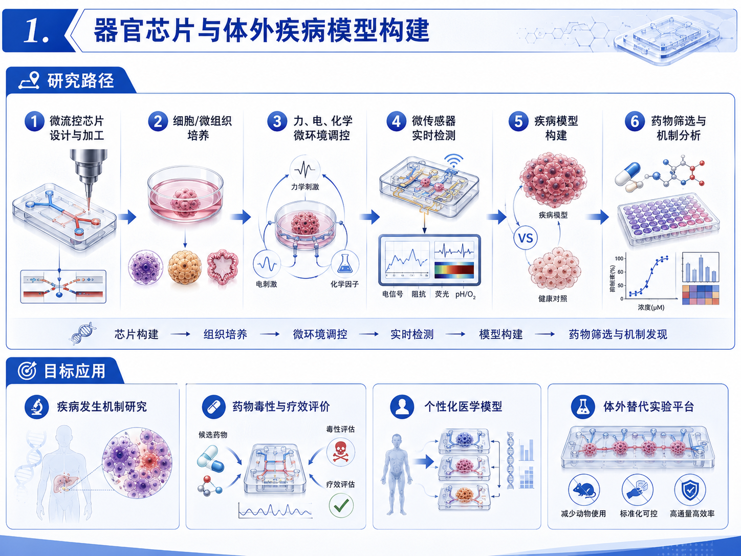 器官芯片.png 器官芯片.png