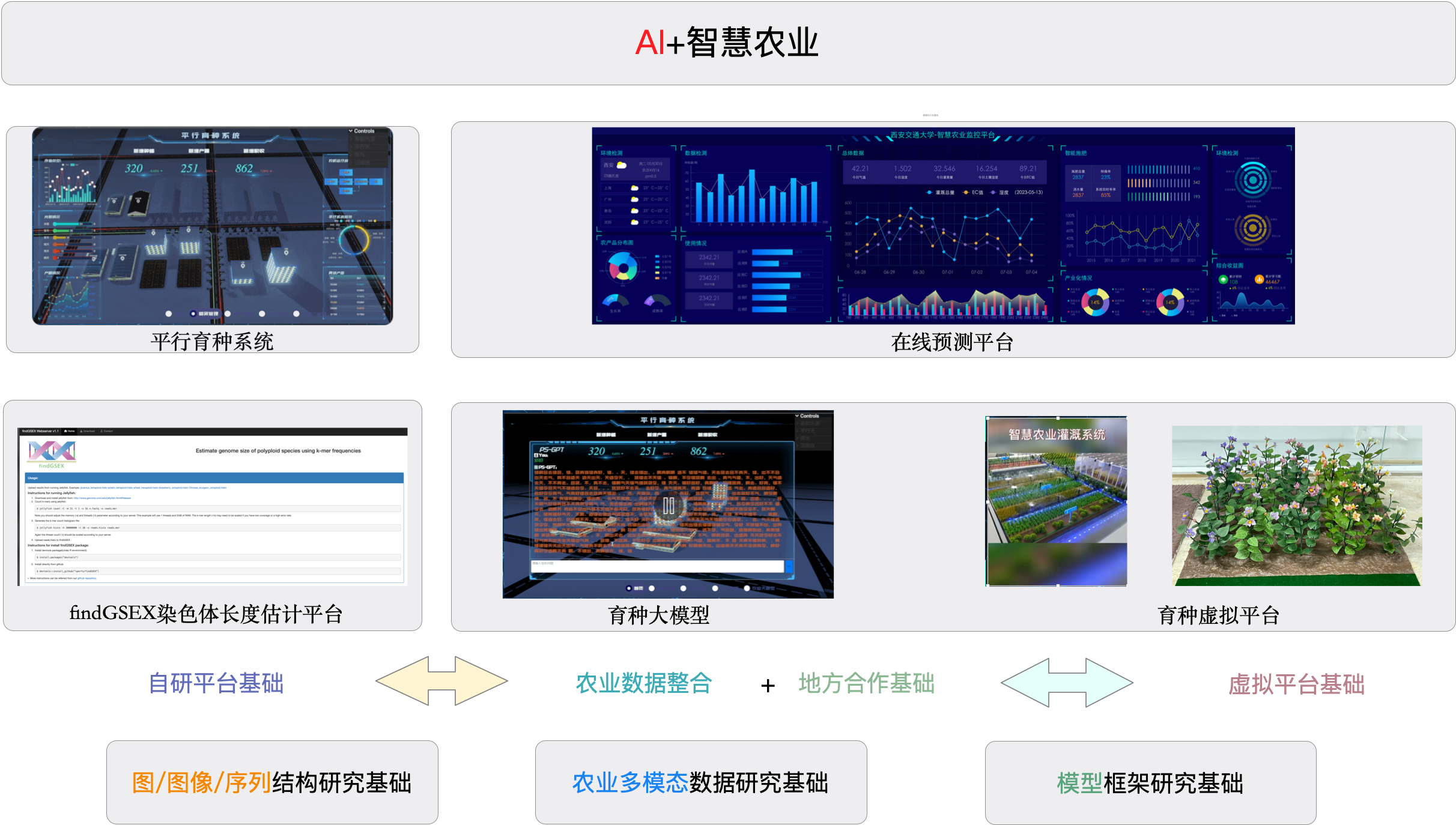 Responsive Image