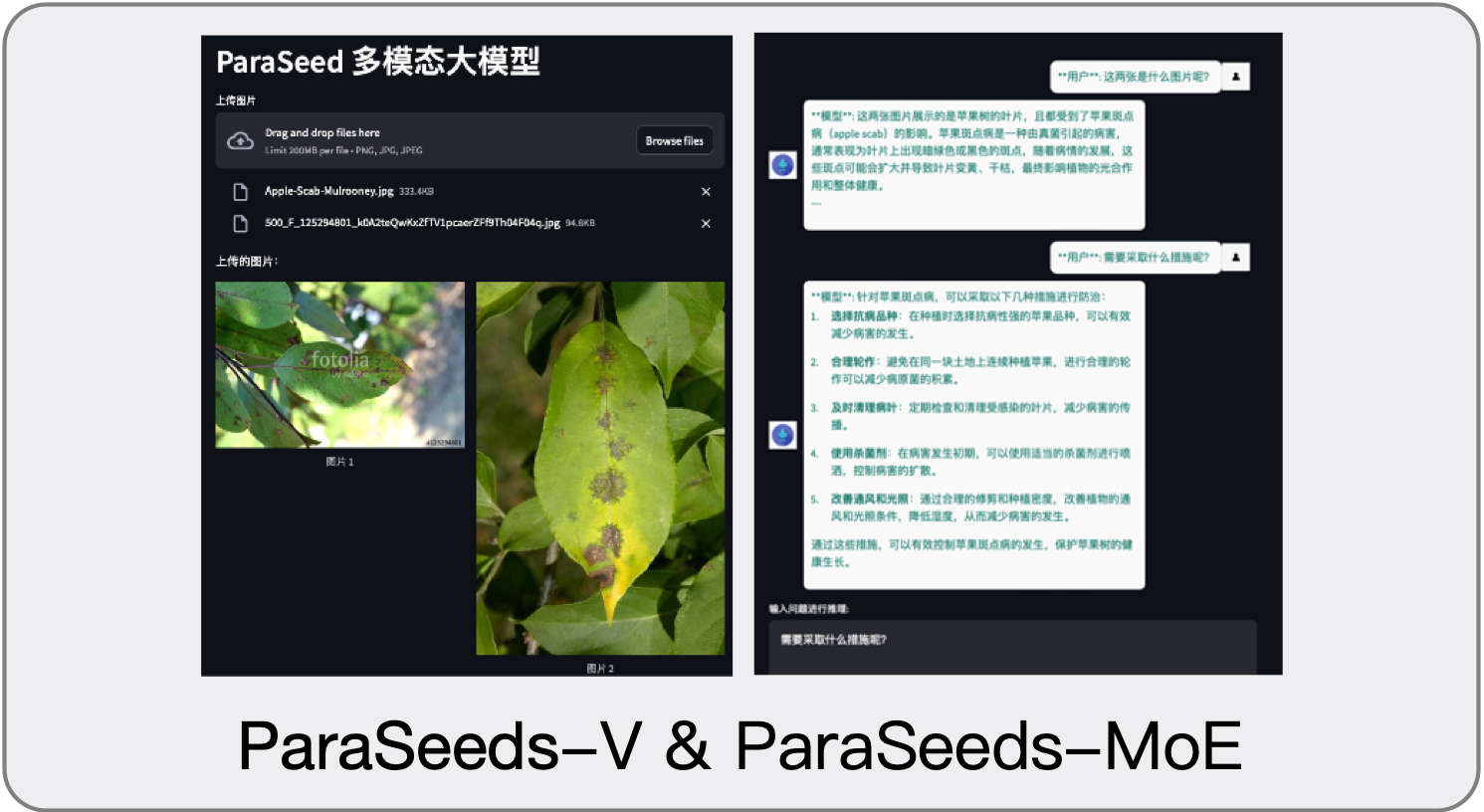 Responsive Image