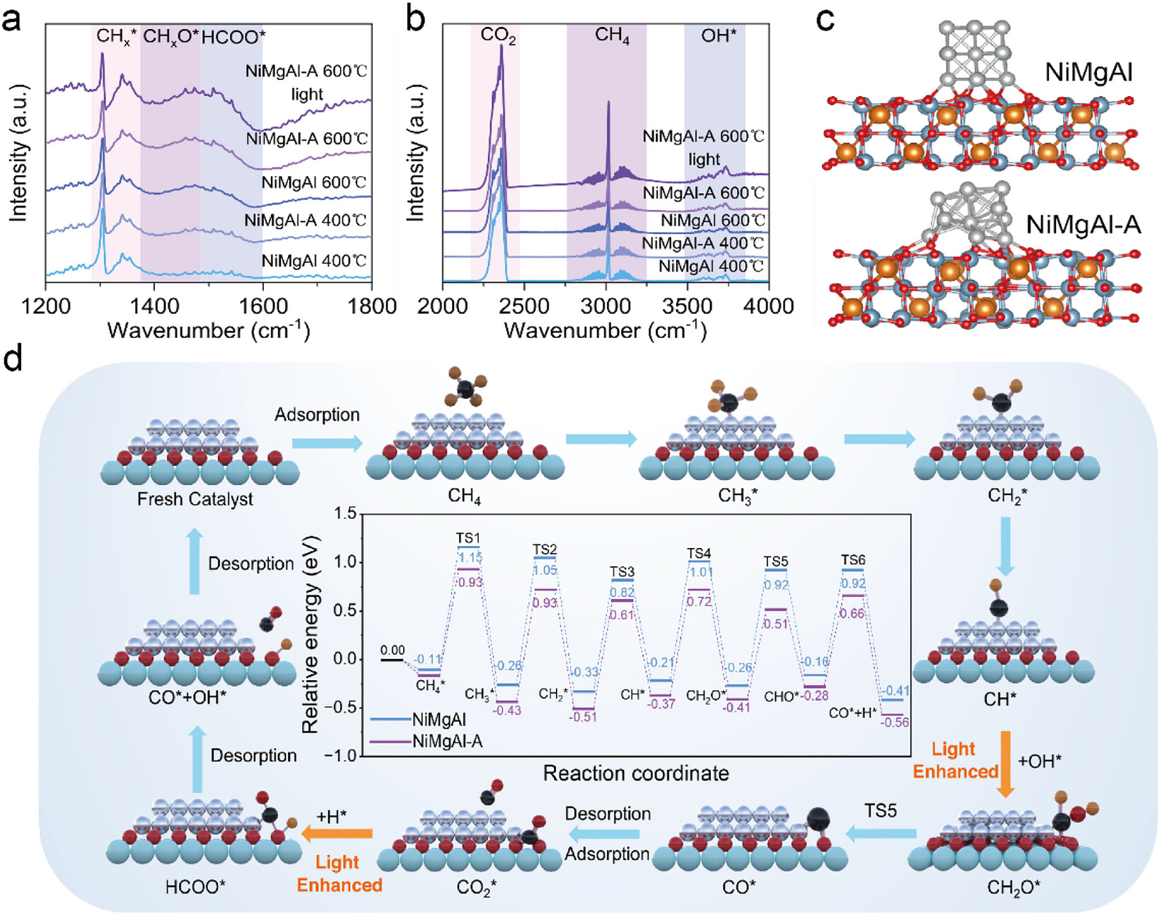 smll74304-fig-0007-m.png