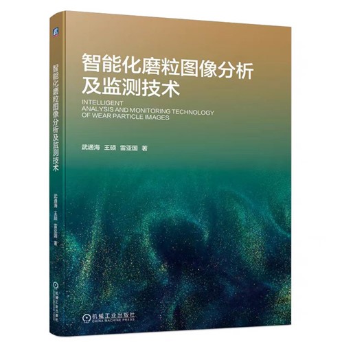 专著-磨粒.jpg