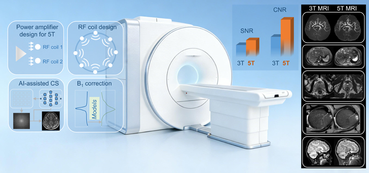 graphical abstract-2026.jpg graphical abstract-2026.jpg